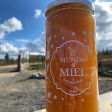 Cargar imagen en el visor de la galería, Miel 100% natural en vidrio 950 g-chilesano-chilesano